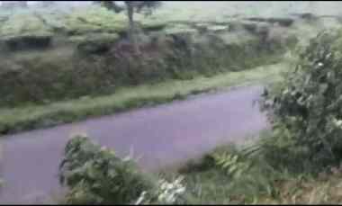 dijual tanah cipada