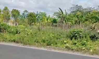 dijual tanah cisantana