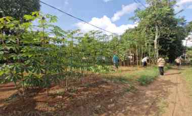 dijual tanah ciseeng bogor