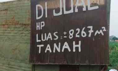 dijual tanah cisereh curug tangerang