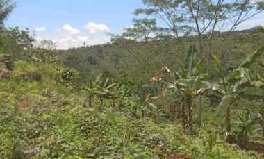 dijual tanah cisonggom