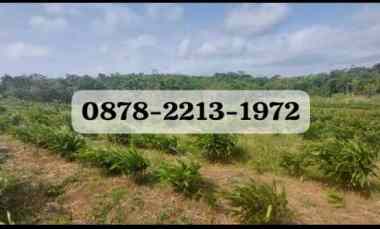 dijual tanah citepus s sukabumi