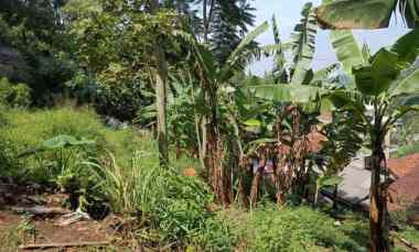 dijual tanah citra green dago