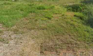 dijual tanah citraland waterfront