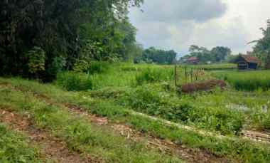 dijual tanah ciwangi beber