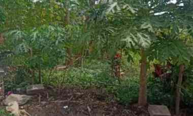 dijual tanah ciwastra kota bandung