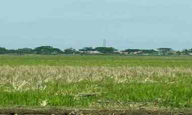 dijual tanah curug reja