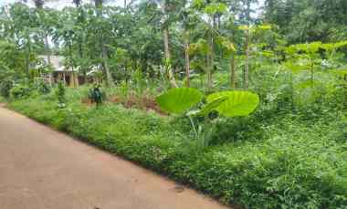 dijual tanah curug serang