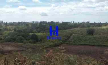 Jual Tanah Daerah Gajapokki /- 3,7 km dari GKPS Ujung Purba