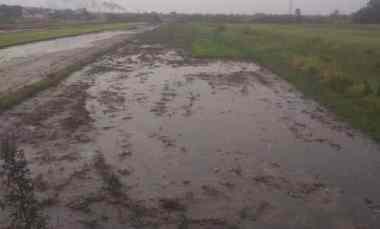 dijual tanah daerah irian jaya pasuruan