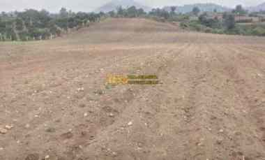 dijual tanah daerah karo jalan kebun