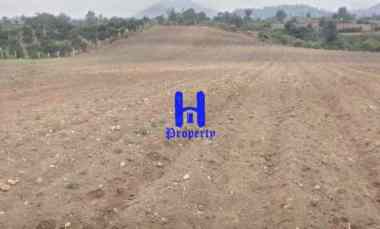 dijual tanah daerah karo jalan kebun