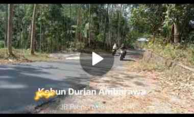 Dijual Tanah dan Kebun Durian di Ambarawa Kab Semarang