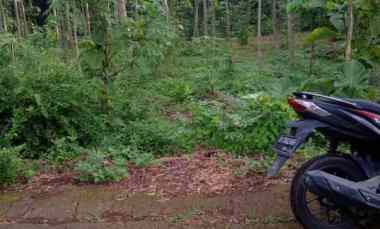 dijual tanah datar 1500m2 325jt mojogedang karanganyar