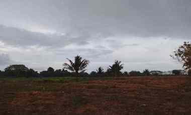 Jual Segera Tanah dekat Pantai Kampung Adat Ratenggaro di Sumba, Ntt