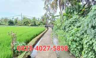 Dijual Tanah 740m2 View Sawah dekat Pantai Kedungu Tabanan Bali