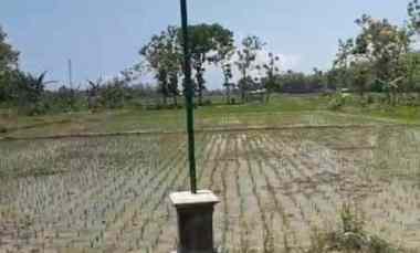 dijual tanah depan jln desa kec dolopo kab madiun