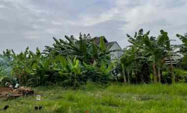 dijual tanah depan pt dutatex kedungwuni