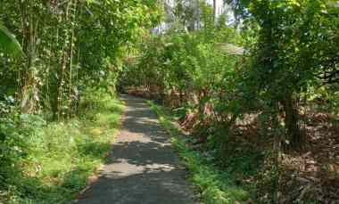 dijual tanah desa angkah selemadeg