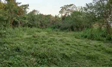 Rare Beachfront Plot - 20 Meters To Soan Galuh Beach, Tabanan Bali