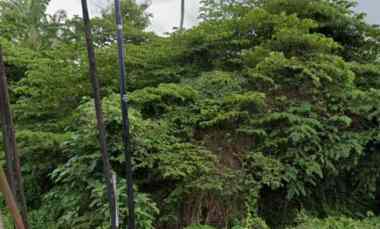 dijual tanah desa bajra kec selemadeg