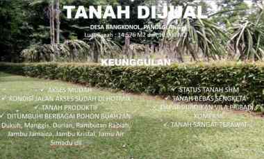 dijual tanah desa bangkonol