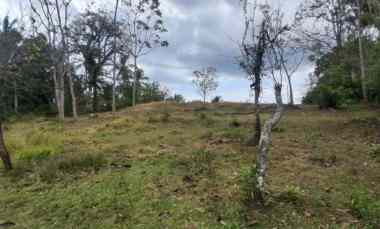 dijual tanah desa bengkel sari
