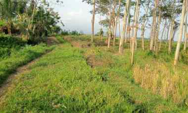 dijual tanah desa berembeng kec