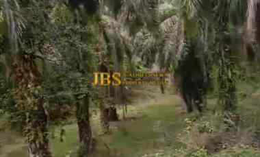 dijual tanah desa bohorok daerah langkat