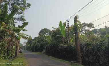 Dijual Kebun Produktif Manggis, Durian Lengkeng Murah di Purwakarta