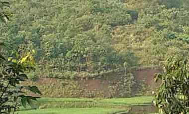 dijual tanah desa cisomang barat