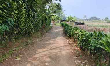 dijual tanah desa darangdan