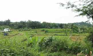 Tanah Dijual di Tamansari Bogor dekat Desa Wisata Pasireurih