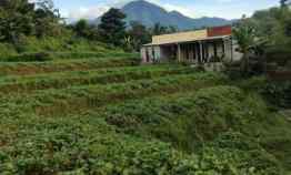 Jual Tanah Adat yang Sangat Cocok untuk Bikin Villa Ataupun Rumah