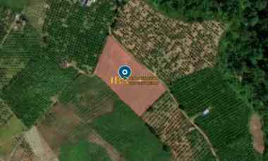 Dijual Tanah Kosong Daerah Karo, Desa Guru Benua Kec. Munte