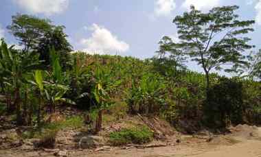 dijual tanah desa hatta