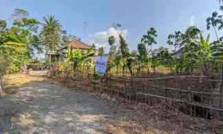 Tanah Dijual di Desa Jajag Kecamatan Gambiran Kabupaten Banyuwangi