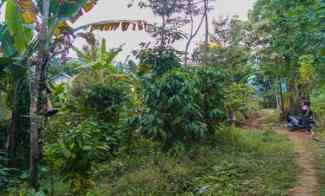 Miliki Tanah Idaman di Trawas Mojokerto Harga Murah Meriah