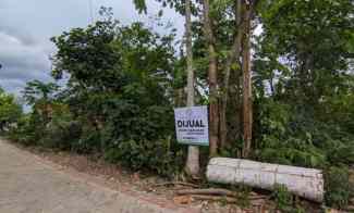 BWI A.385 Dijual Tanah di Desa Karangbendo Kecamatan Rogojampi - Ban