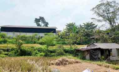 dijual tanah desa kawungluwuk sukaresmi