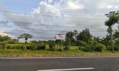 dijual tanah desa kembiritan kec