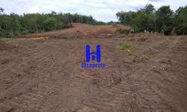 Dijual Lahan Pengembangan Desa Koto Tinggi, Kab. Rokan Hulu - Riau