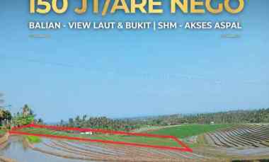 Dijual Lahan Sawah dengan View Perbukitan dan Sawah Terasering