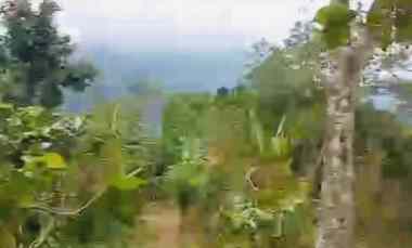 dijual tanah desa lemukih buleleng bali