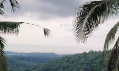 dijual tanah desa lumbung kauh kec