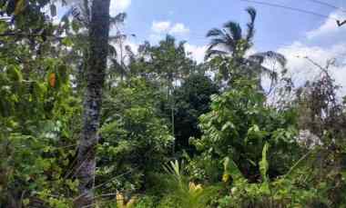 Dijual Tanah Lokasi Strategis di Lumbung dengan View Sawah Sunset