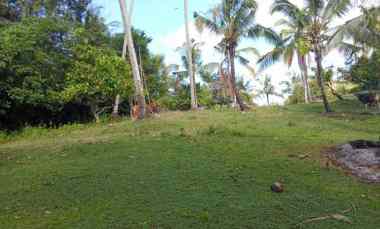 dijual tanah desa lumbung selemadeg