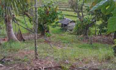 dijual tanah desa lumbung selemadeg