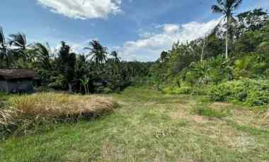 dijual tanah desa mendoyo dauh tukad