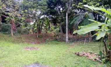 dijual tanah desa nagrak sukaraja